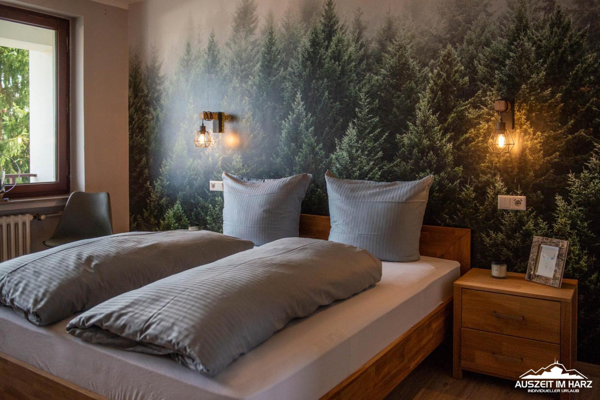 Auszeit Im Harz Haus 3 Wohnung 6 Браунлаге Екстер'єр фото